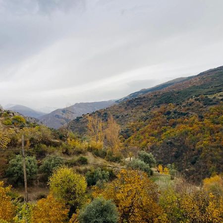 El Hogar De Mercedes Guejar Sierra Exteriör bild