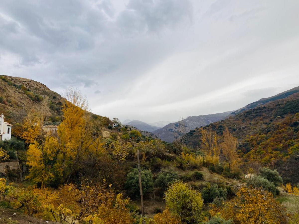 El Hogar De Mercedes Guejar Sierra Exteriör bild