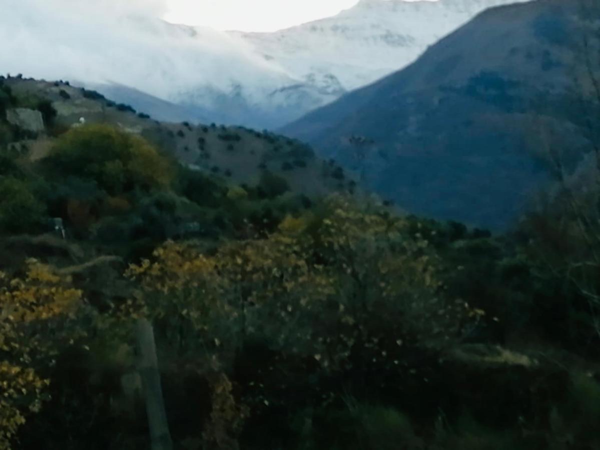 El Hogar De Mercedes Guejar Sierra Exteriör bild
