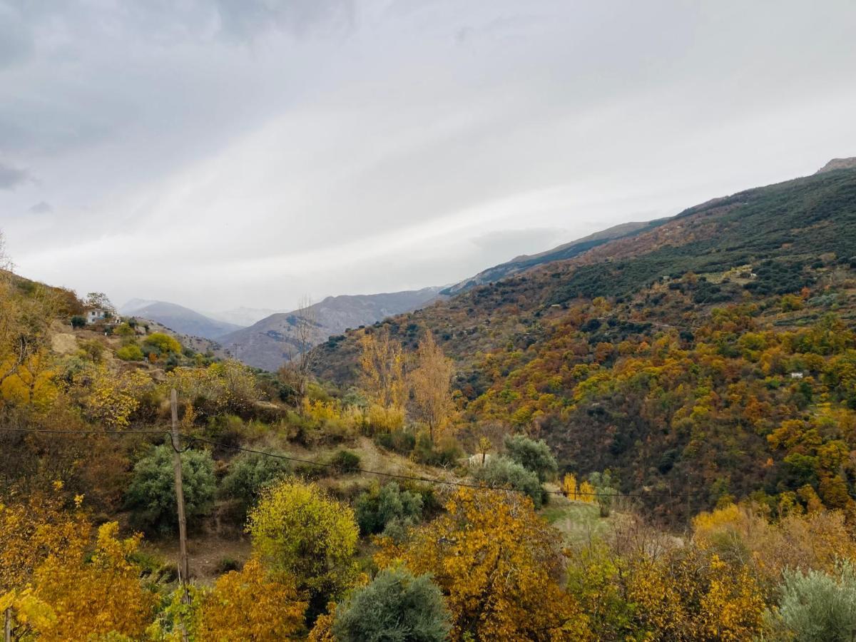 El Hogar De Mercedes Guejar Sierra Exteriör bild