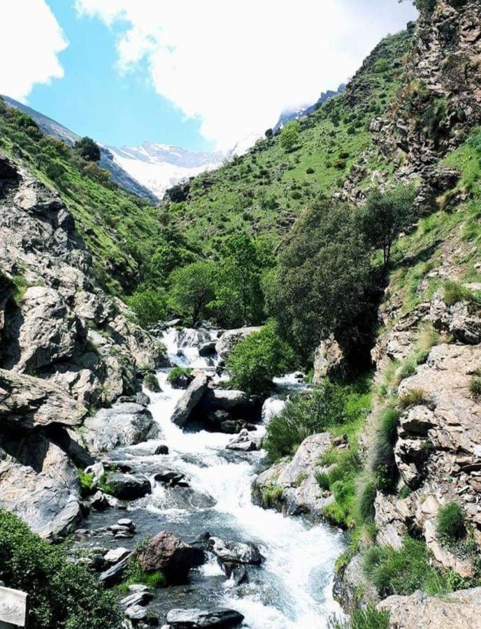 El Hogar De Mercedes Guejar Sierra Exteriör bild