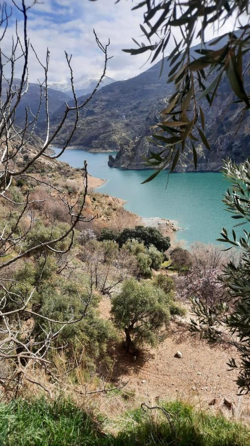 El Hogar De Mercedes Guejar Sierra Exteriör bild